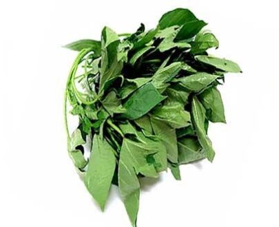 Bitter Leaf