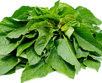 Fresh tete Vegetable