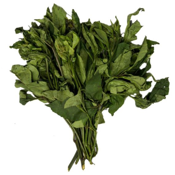 Fresh Ugu Vegetable - Image 2