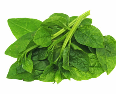 Fresh Water Leaf